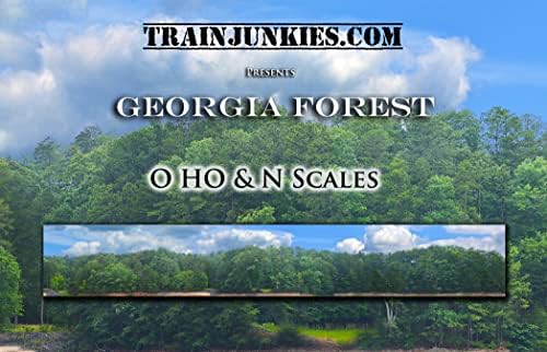 На фона на железопътна линия с модела гори на Джорджия (мащаб O)