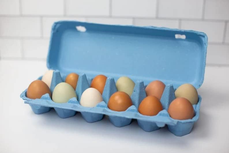 TH SMART -(Опаковка от 10 картонени опаковки от яйца, синьо на цвят, с плосък покрив