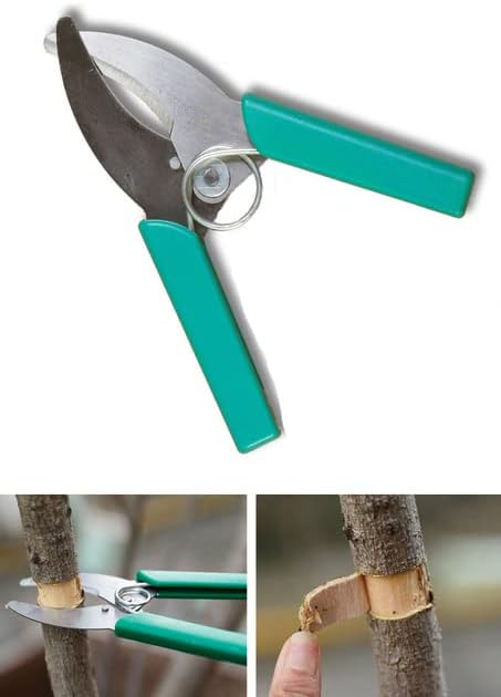 Пръстен Лаещ режещи инструменти-Ножици Кел Нож Градинско плодно дръвче грозде инструмент за подрязване на череши храст овощна градина