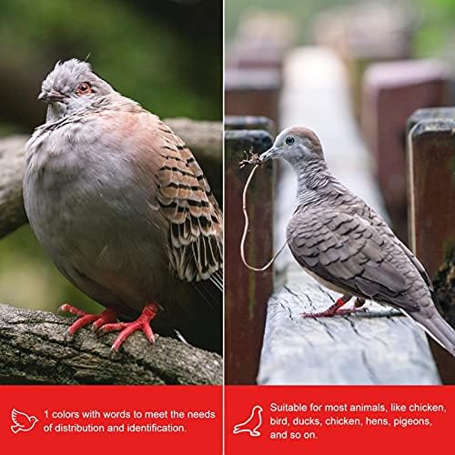 Пръстени за краката на домашни птици Идентификационни Ленти За Краката 100шт Състезателни Пръстени За Крака на Гълъб Птичи Пръстени Пластмасова