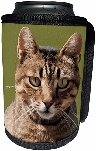 Триизмерен Портрет Сладък Раирана котка С Пряко Визуално контакт. - Опаковки за бутилки-охладители (cc-361201-1)