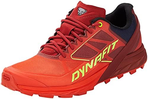 Обувки Dynafit Alpine за бягане - Мъже