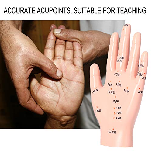 Модел ръцете на Акупунктура Точната Технология Модел Ръцете на Акупунктура за болница Училище